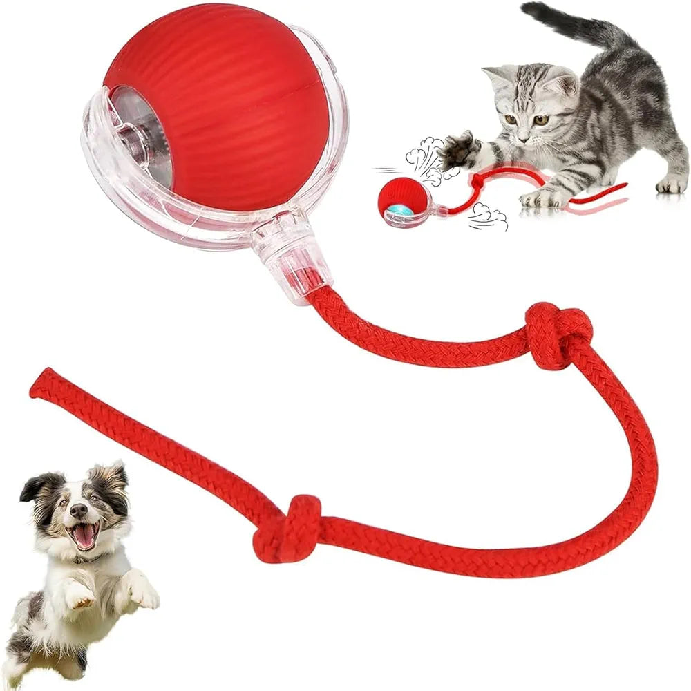 Smart LED Cat Teaser Ball – Automatic 360° Rolling Pet Toy
