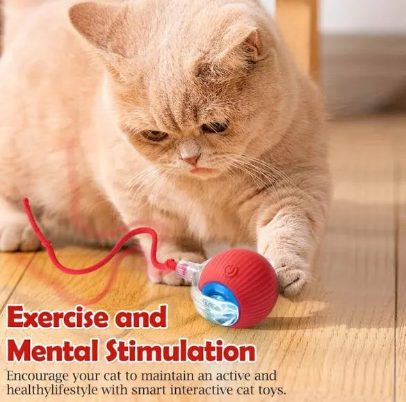 Smart LED Cat Teaser Ball – Automatic 360° Rolling Pet Toy