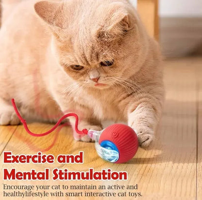 Smart LED Cat Teaser Ball – Automatic 360° Rolling Pet Toy